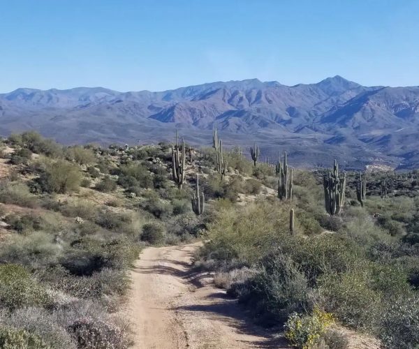 20260113_102337 St Clair