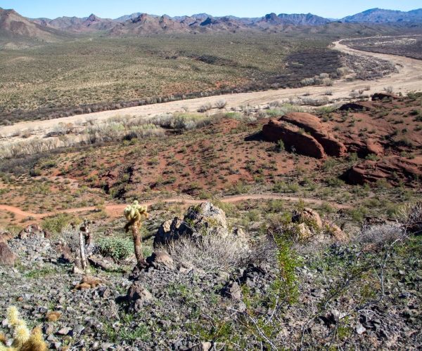 IMG_8846 Palmarita Ranch Riverbed