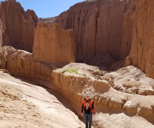 Mud Canyon by Alamo Lake